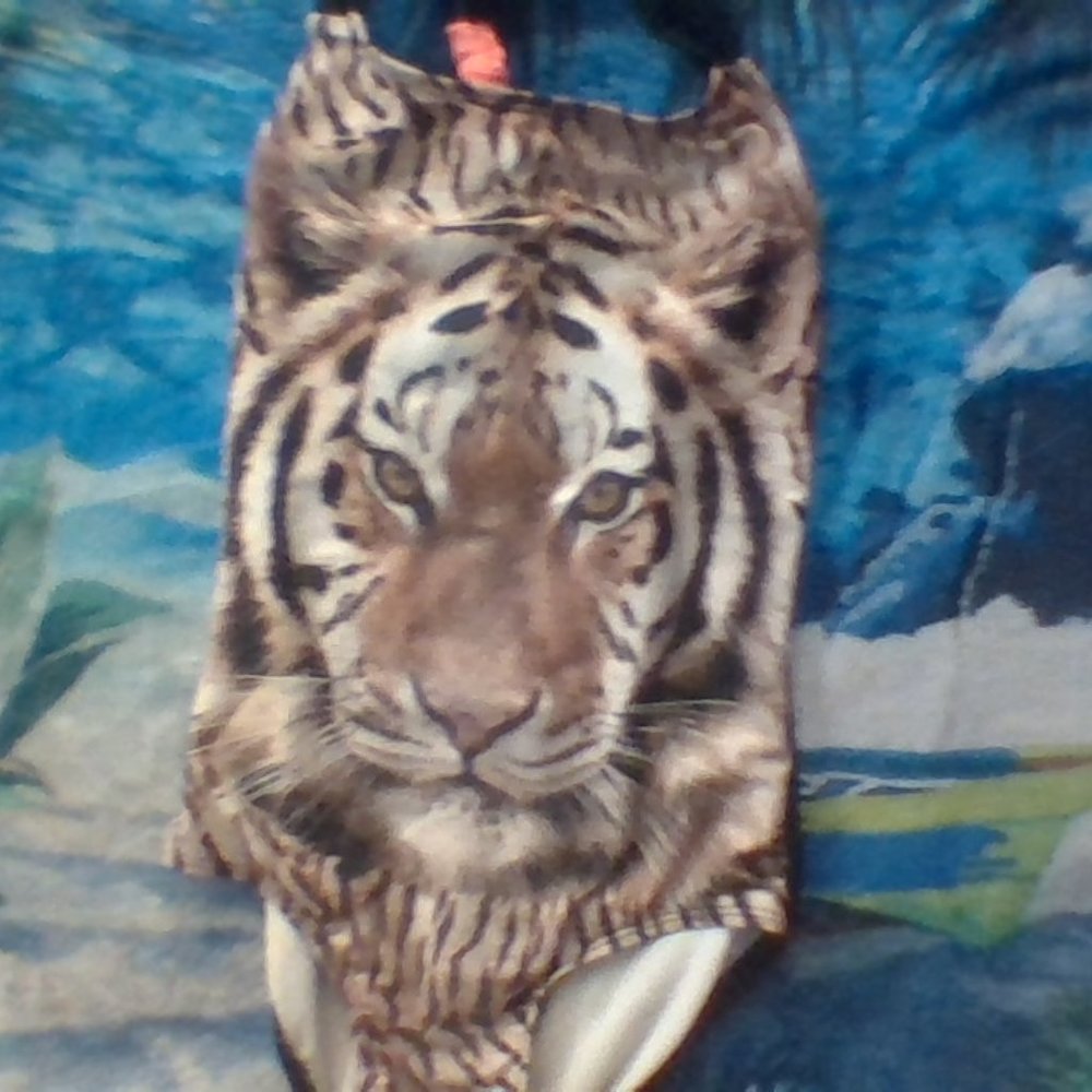 🐯 Xhilaration Brown Tiger One Piece